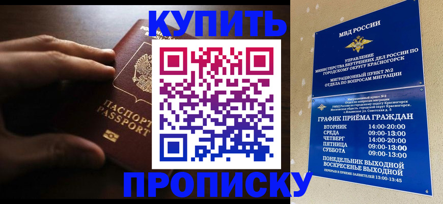 временная регистрация гарантия в Королёве